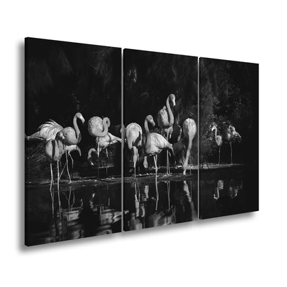 Leinwandbild Leuchtende Flamingos – Spiel aus Licht & Schatten XXL - deyoli