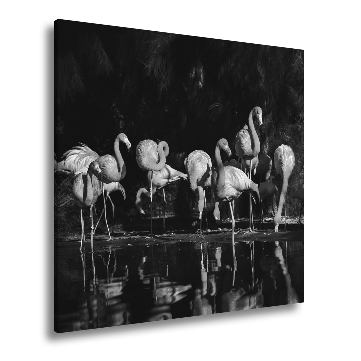 Leinwandbild Leuchtende Flamingos – Spiel aus Licht & Schatten XXL - deyoli