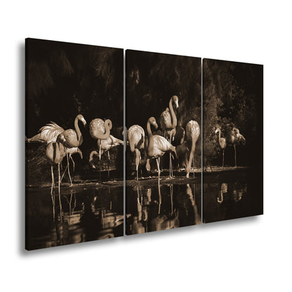 Leinwandbild Leuchtende Flamingos – Spiel aus Licht & Schatten XXL - deyoli