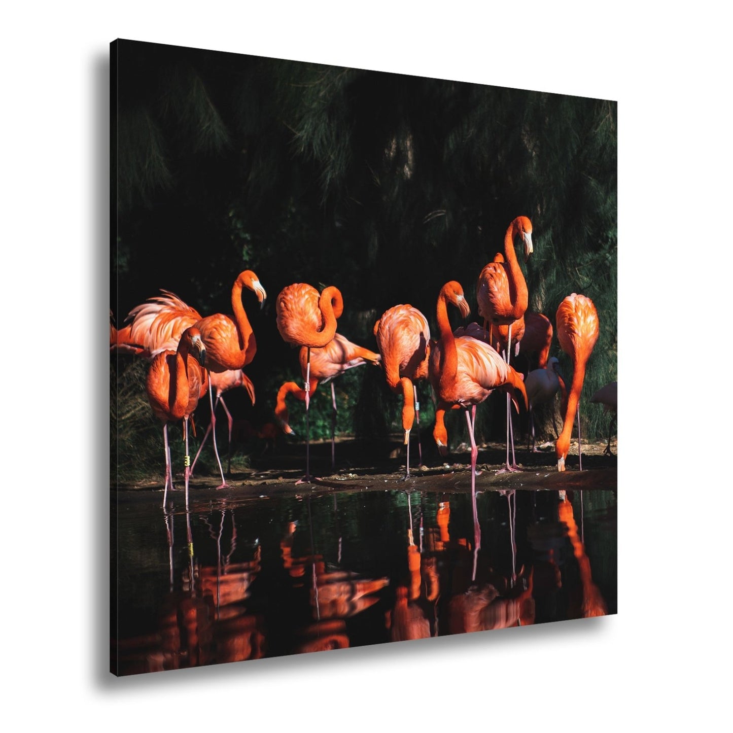 Leinwandbild Leuchtende Flamingos – Spiel aus Licht & Schatten XXL - deyoli