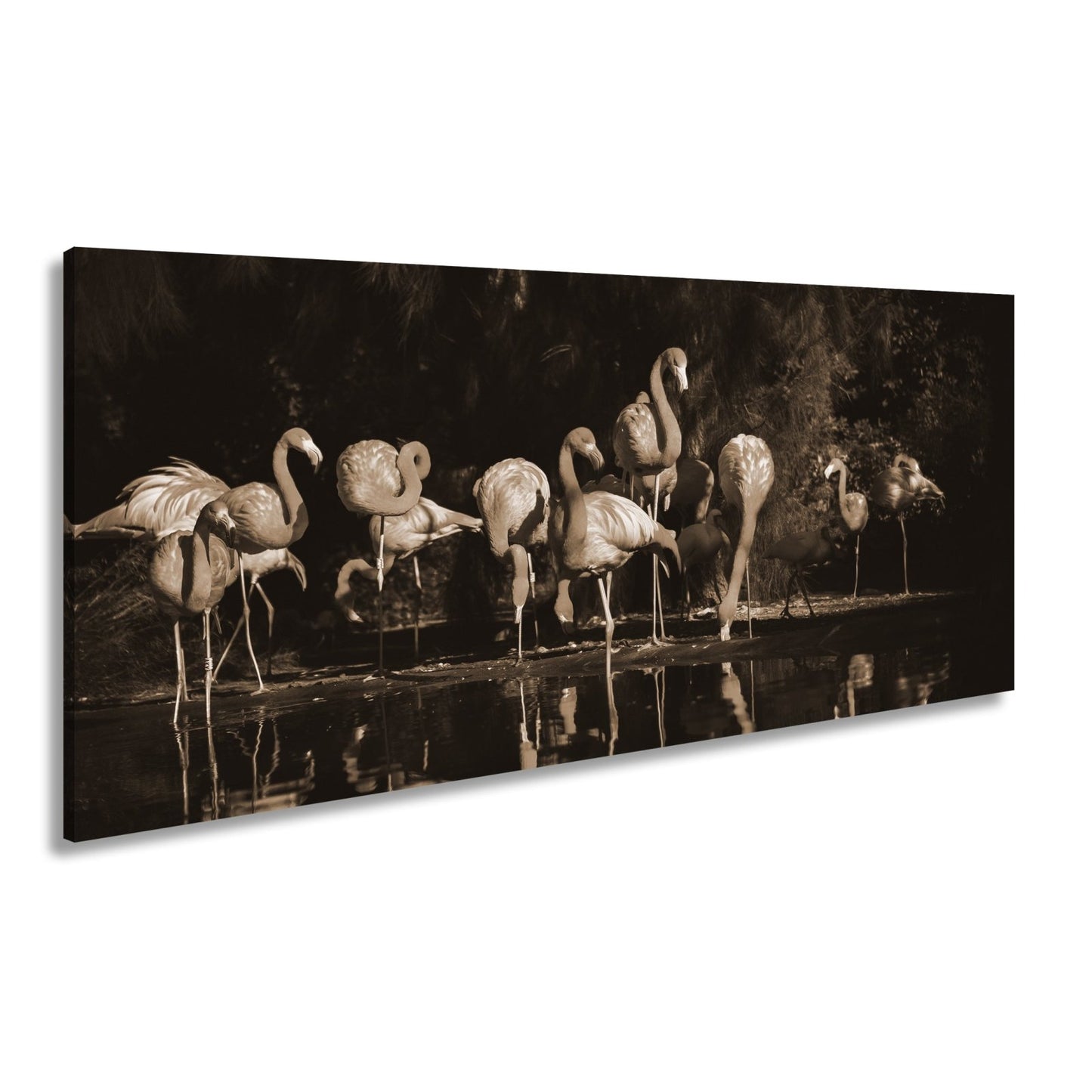 Leinwandbild Leuchtende Flamingos – Spiel aus Licht & Schatten XXL - deyoli
