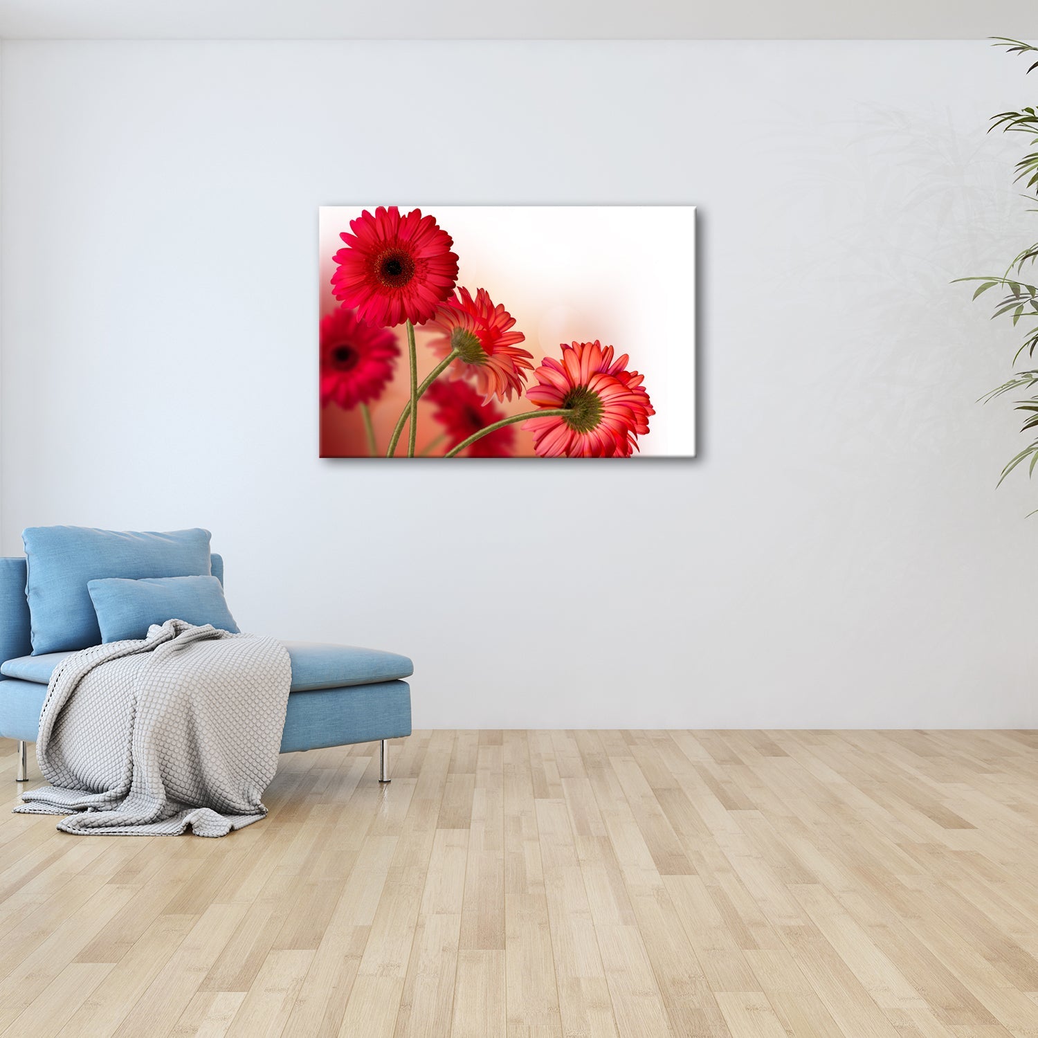 Leinwandbild Leuchtende Gerbera tanzen im warmen Licht des Morgens. - deyoli