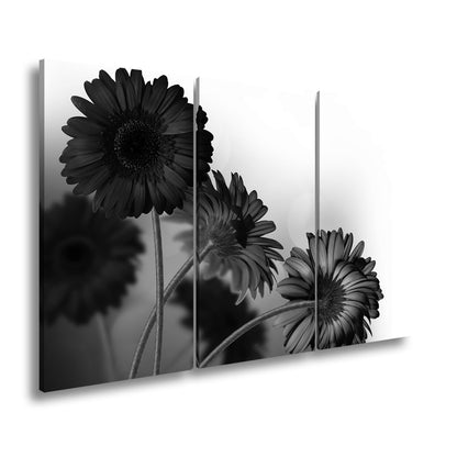 Leinwandbild Leuchtende Gerbera tanzen im warmen Licht des Morgens. - deyoli