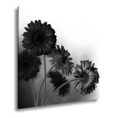 Leinwandbild Leuchtende Gerbera tanzen im warmen Licht des Morgens. - deyoli