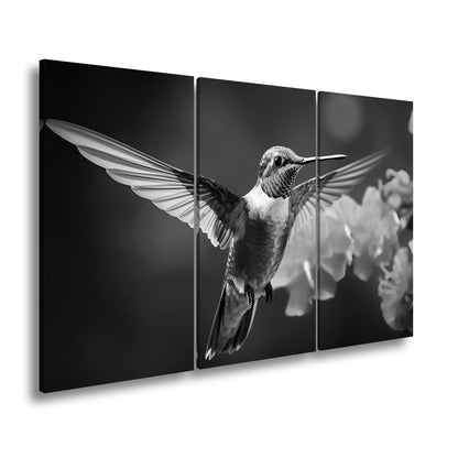Leinwandbild Leuchtender Flug – der Kolibri als schwebendes Farbenspiel. - deyoli