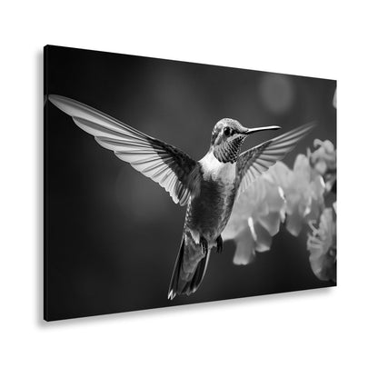 Leinwandbild Leuchtender Flug – der Kolibri als schwebendes Farbenspiel. - deyoli