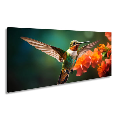 Leinwandbild Leuchtender Flug – der Kolibri als schwebendes Farbenspiel. - deyoli