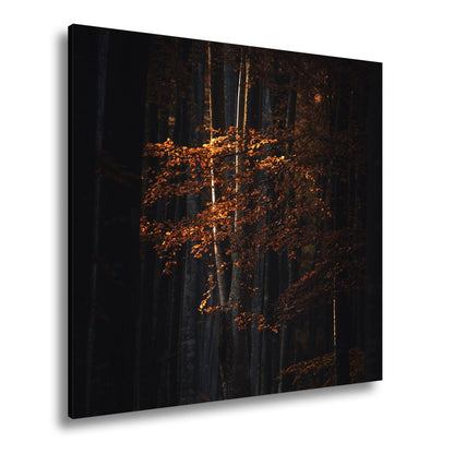 Leinwandbild Leuchtender Herbstbaum im mystischen Wald - deyoli