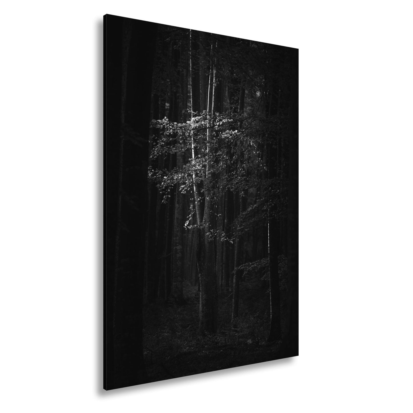 Leinwandbild Leuchtender Herbstbaum im mystischen Wald - deyoli