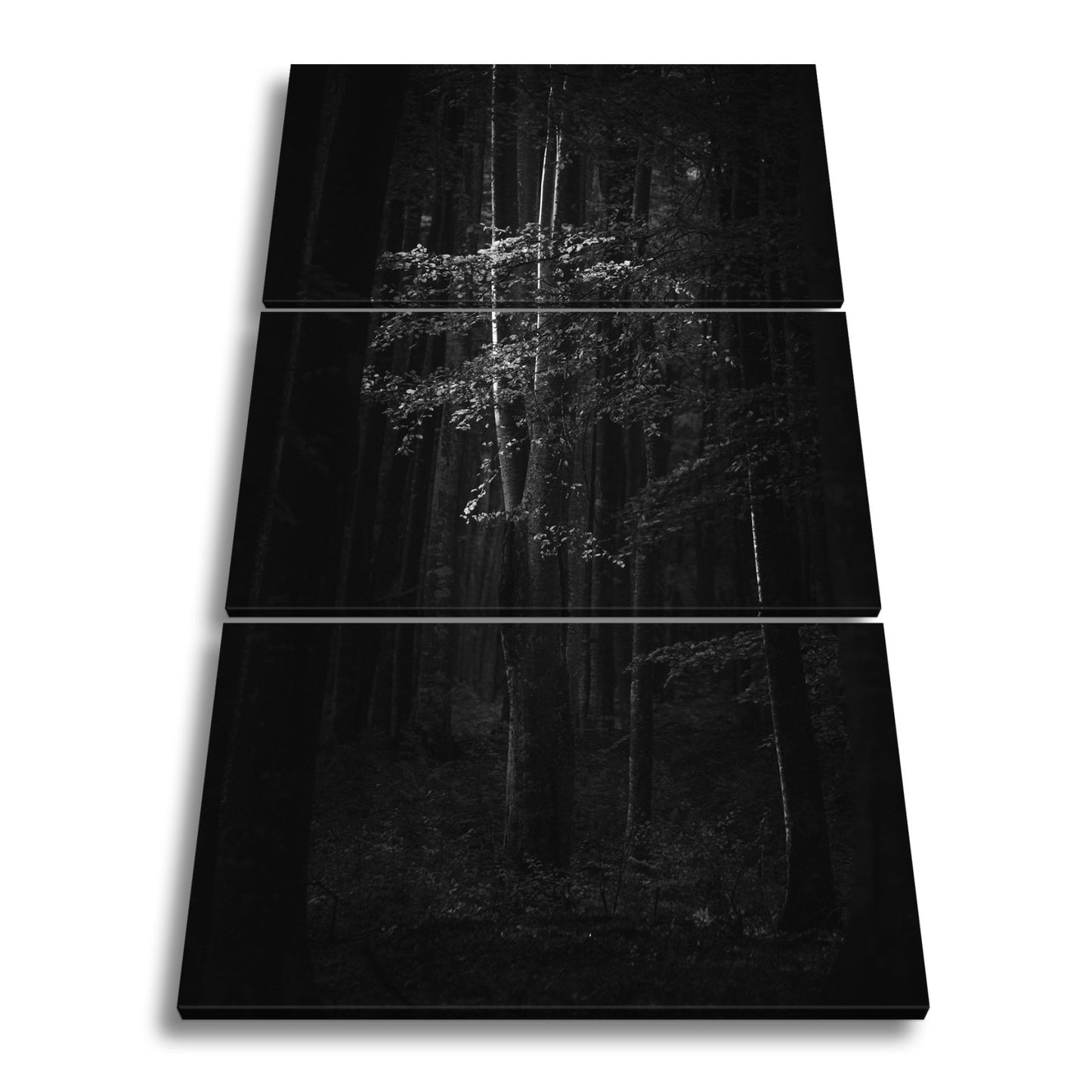 Leinwandbild Leuchtender Herbstbaum im mystischen Wald - deyoli