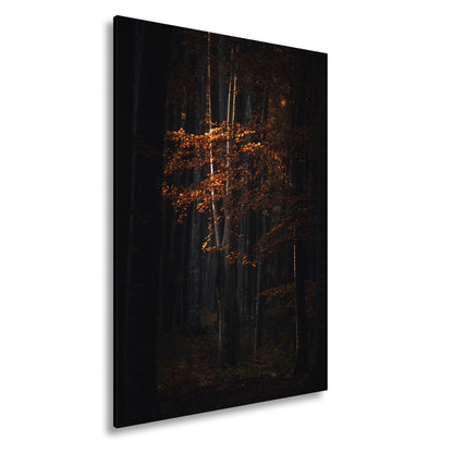 Leinwandbild Leuchtender Herbstbaum im mystischen Wald - deyoli