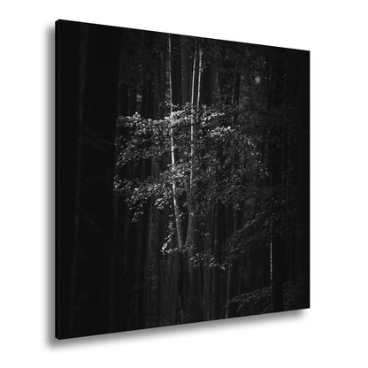 Leinwandbild Leuchtender Herbstbaum im mystischen Wald - deyoli