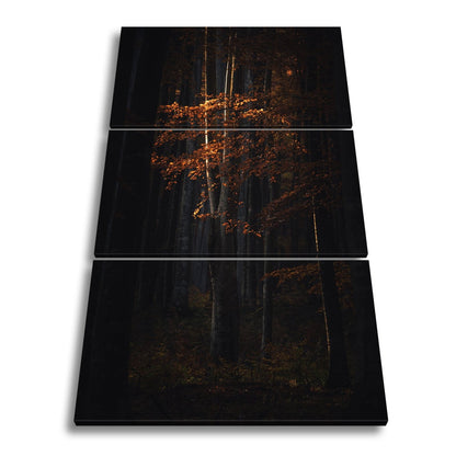 Leinwandbild Leuchtender Herbstbaum im mystischen Wald - deyoli