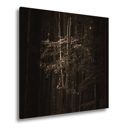Leinwandbild Leuchtender Herbstbaum im mystischen Wald - deyoli