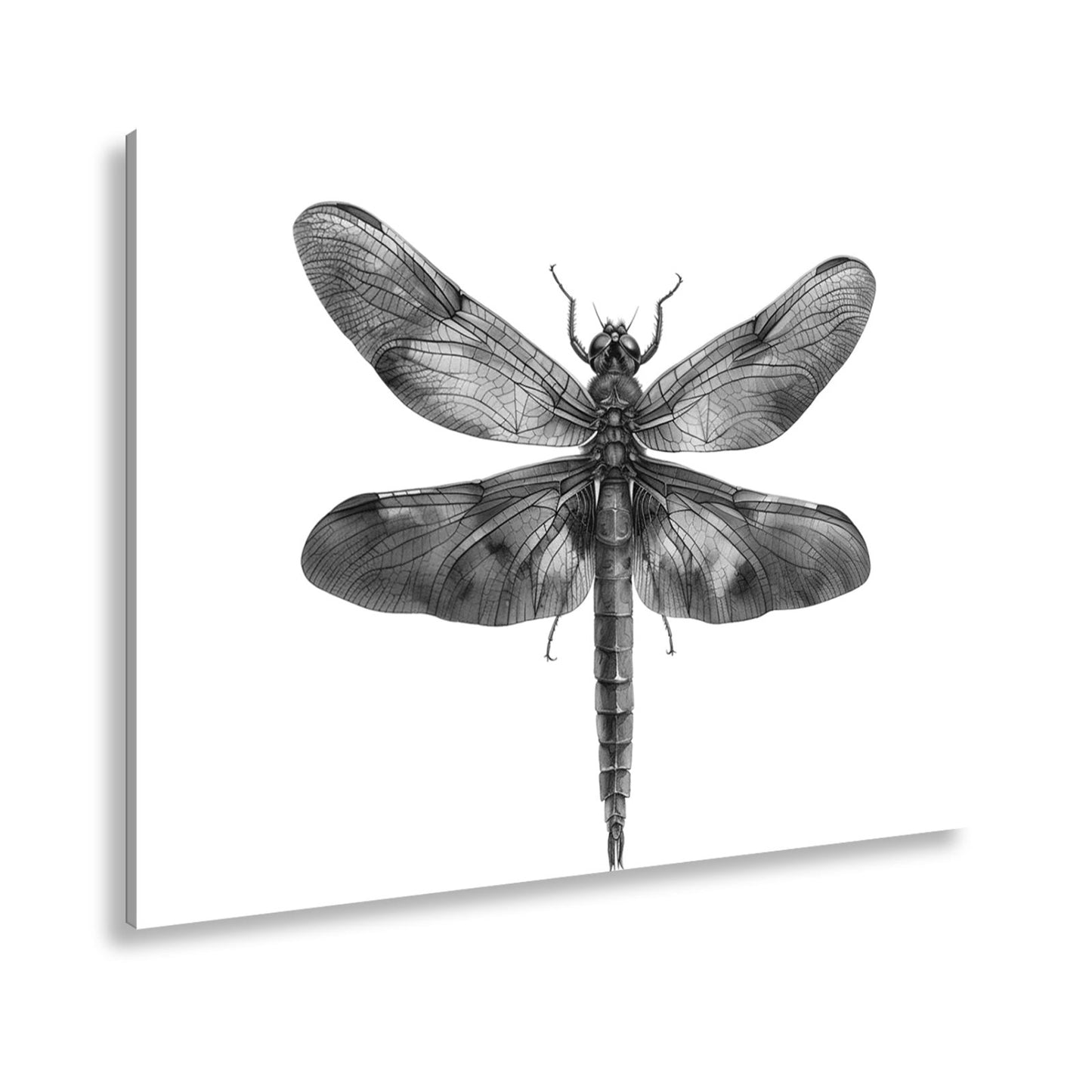 Leinwandbild Libelle in Aquarelloptik mit lebendigen Farben - deyoli