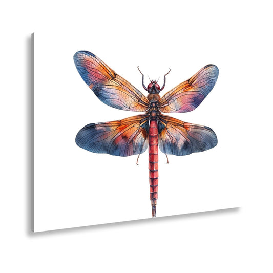 Leinwandbild Libelle in Aquarelloptik mit lebendigen Farben - deyoli