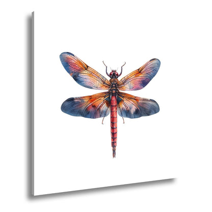 Leinwandbild Libelle in Aquarelloptik mit lebendigen Farben - deyoli