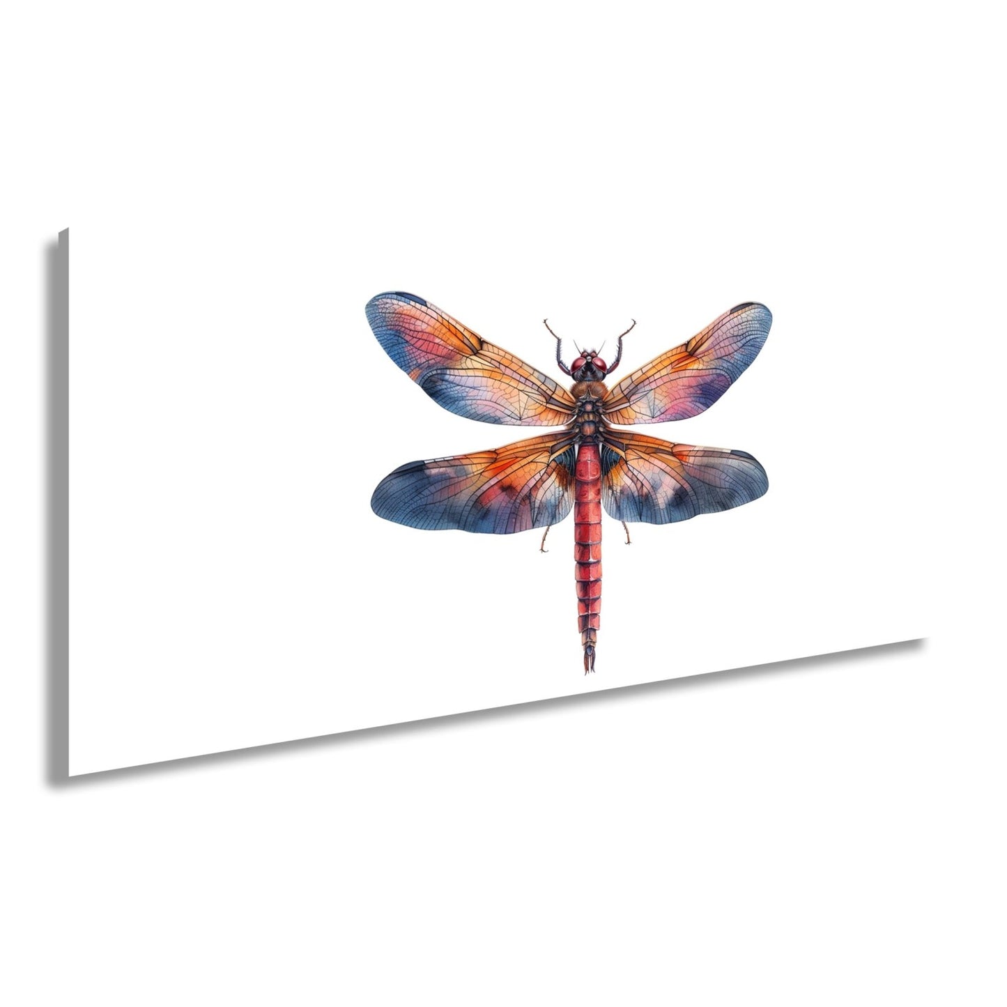 Leinwandbild Libelle in Aquarelloptik mit lebendigen Farben - deyoli