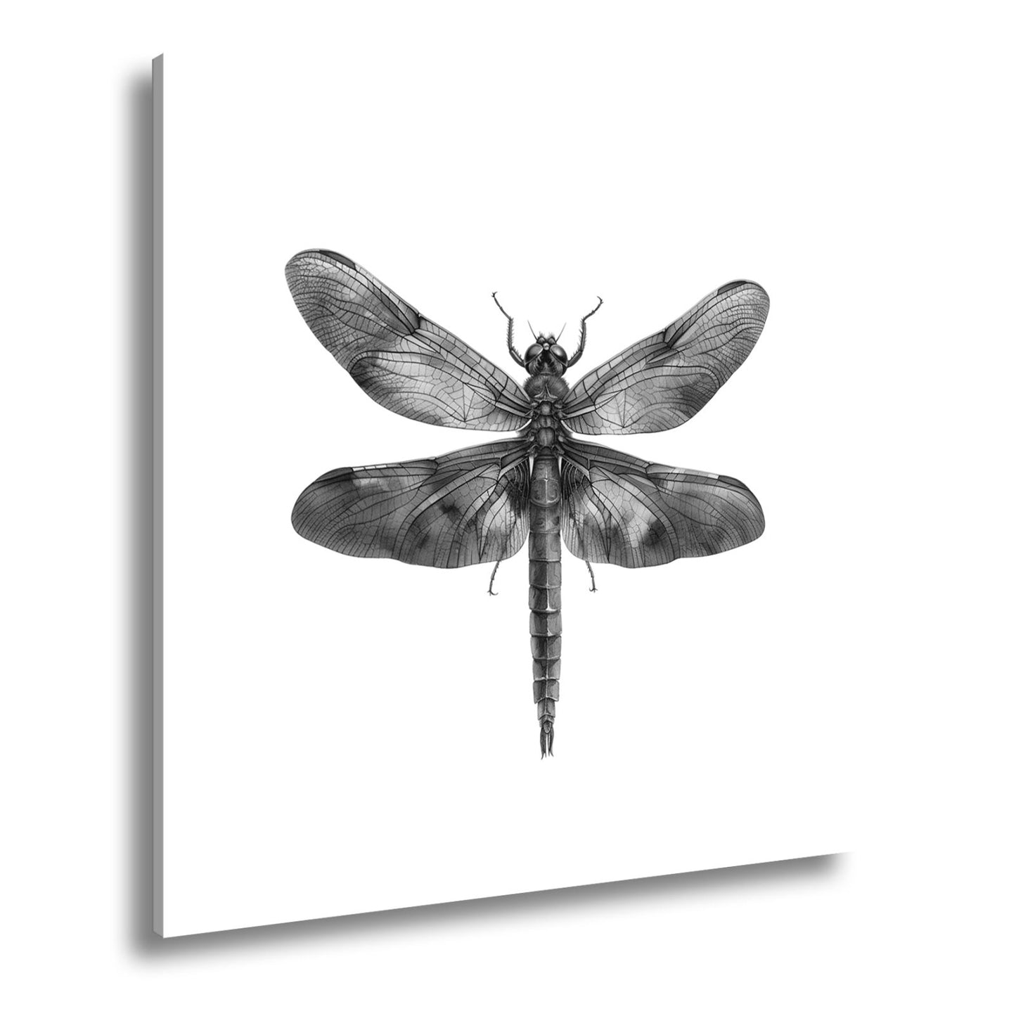 Leinwandbild Libelle in Aquarelloptik mit lebendigen Farben - deyoli