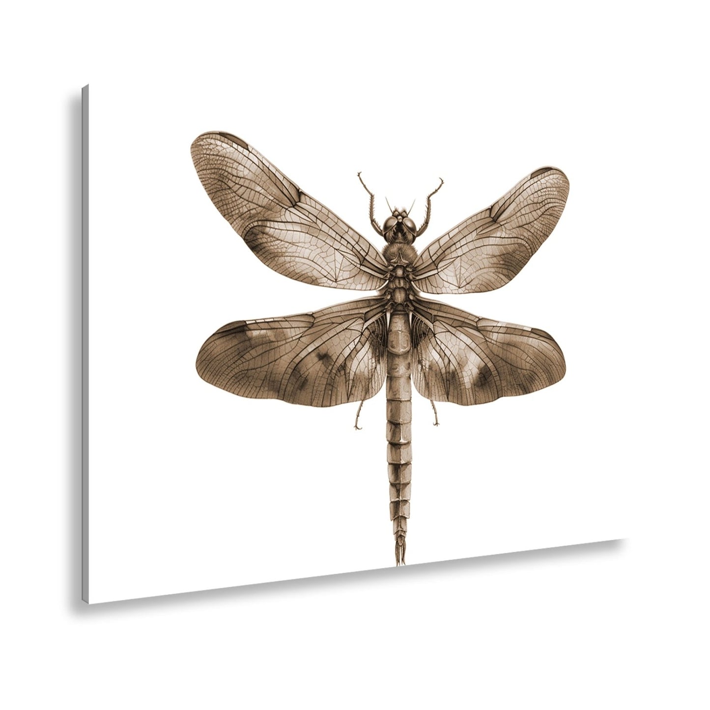 Leinwandbild Libelle in Aquarelloptik mit lebendigen Farben - deyoli