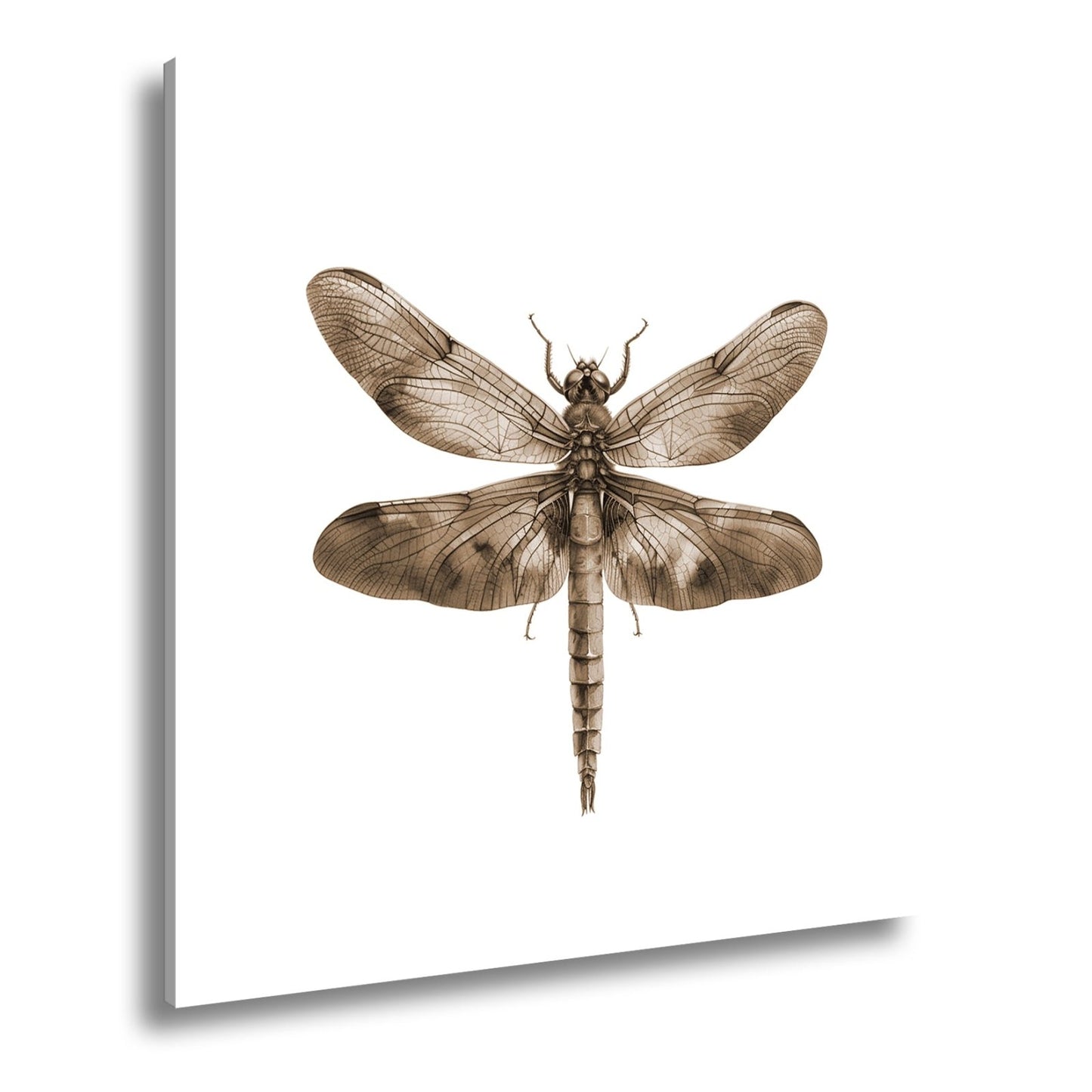Leinwandbild Libelle in Aquarelloptik mit lebendigen Farben - deyoli