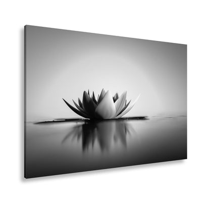 Leinwandbild Lotus im Morgenglühen – still, edel, vollkommen im Licht. - deyoli