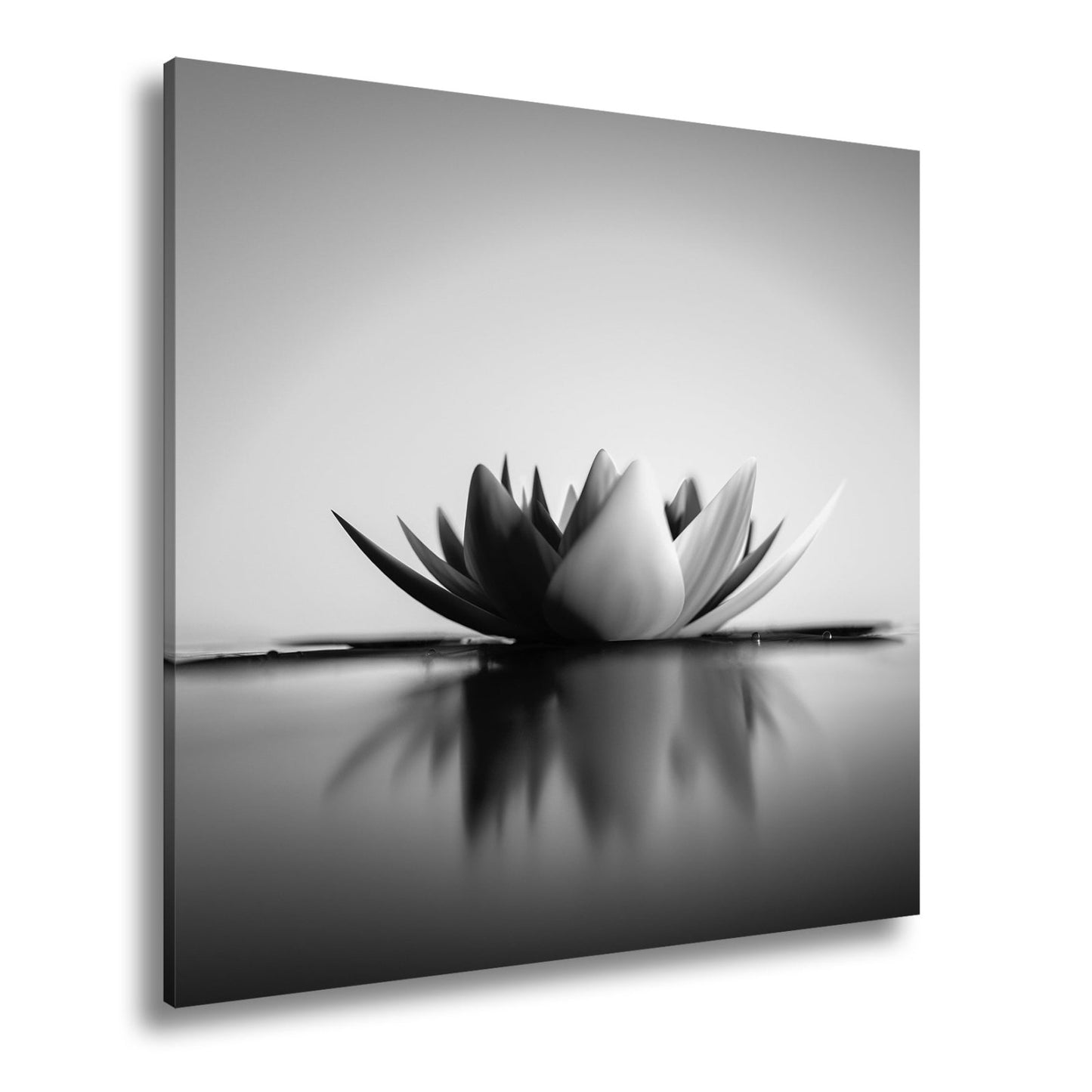 Leinwandbild Lotus im Morgenglühen – still, edel, vollkommen im Licht. - deyoli