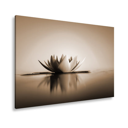 Leinwandbild Lotus im Morgenglühen – still, edel, vollkommen im Licht. - deyoli