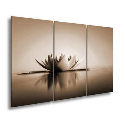 Leinwandbild Lotus im Morgenglühen – still, edel, vollkommen im Licht. - deyoli
