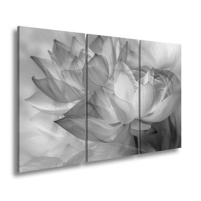 Leinwandbild Lotus im Nebeltraum – Blüten schweben in zartem Licht. - deyoli