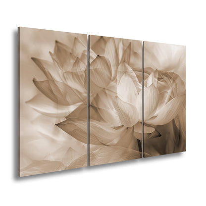 Leinwandbild Lotus im Nebeltraum – Blüten schweben in zartem Licht. - deyoli