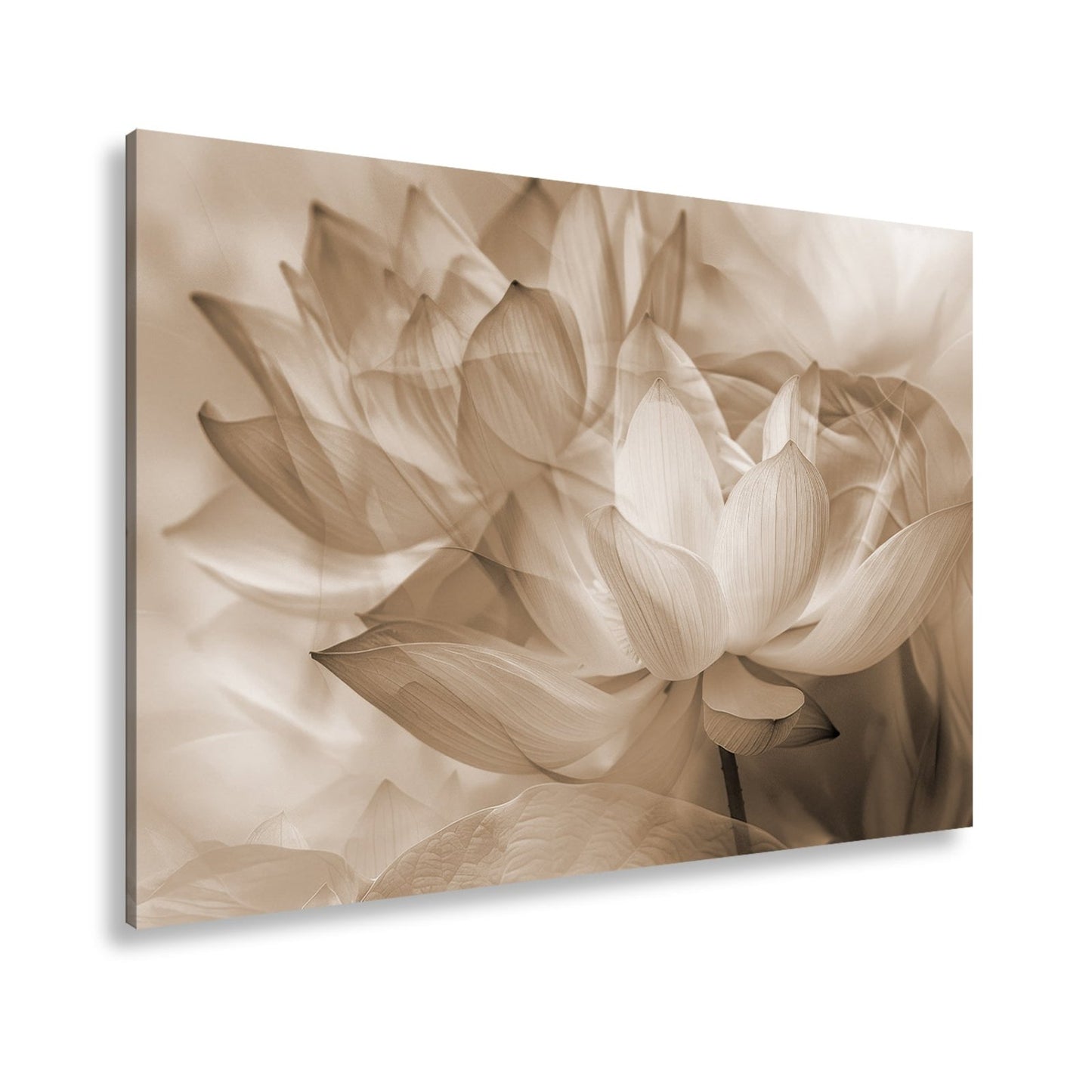 Leinwandbild Lotus im Nebeltraum – Blüten schweben in zartem Licht. - deyoli