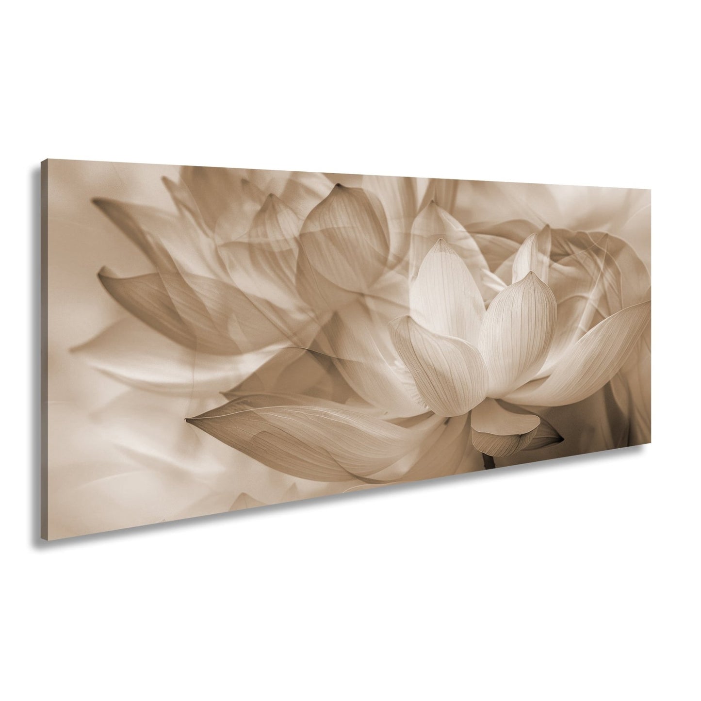 Leinwandbild Lotus im Nebeltraum – Blüten schweben in zartem Licht. - deyoli