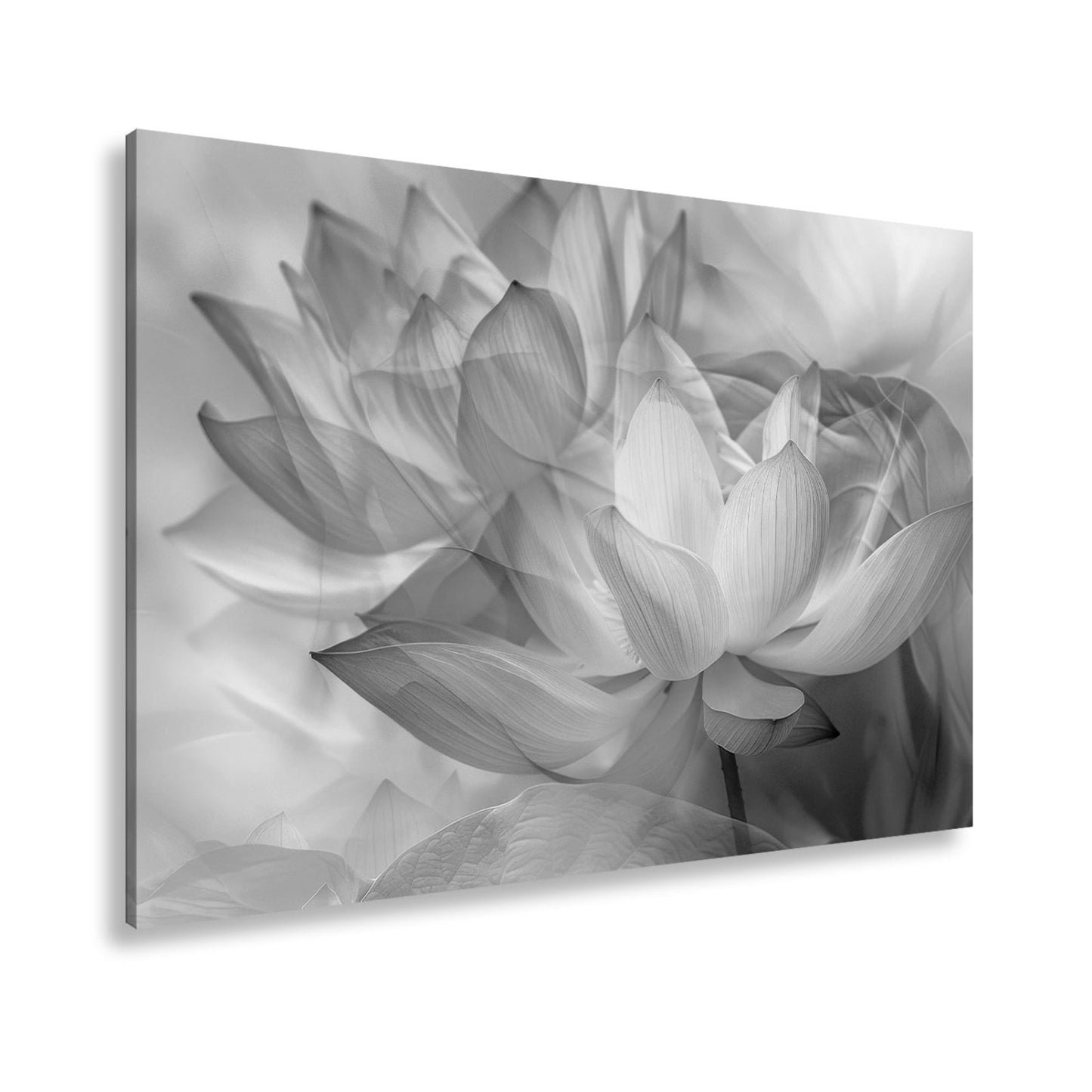 Leinwandbild Lotus im Nebeltraum – Blüten schweben in zartem Licht. - deyoli