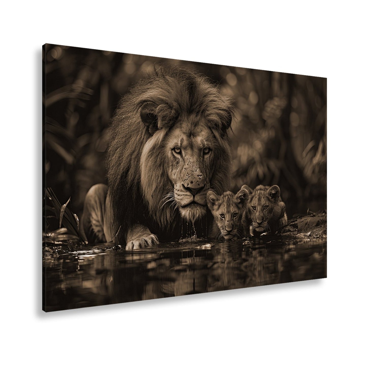 Leinwandbild Löwenstolz – ein König mit seiner künftigen Generation. - deyoli