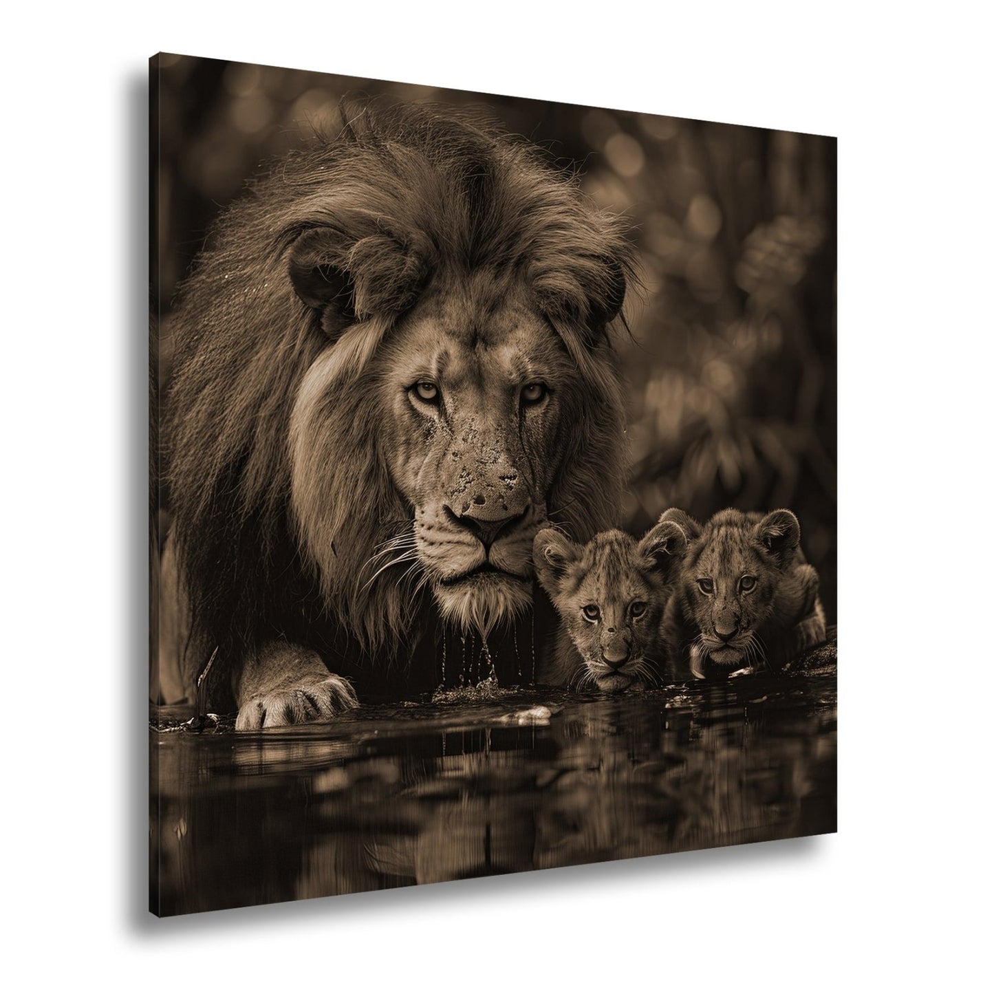 Leinwandbild Löwenstolz – ein König mit seiner künftigen Generation. - deyoli