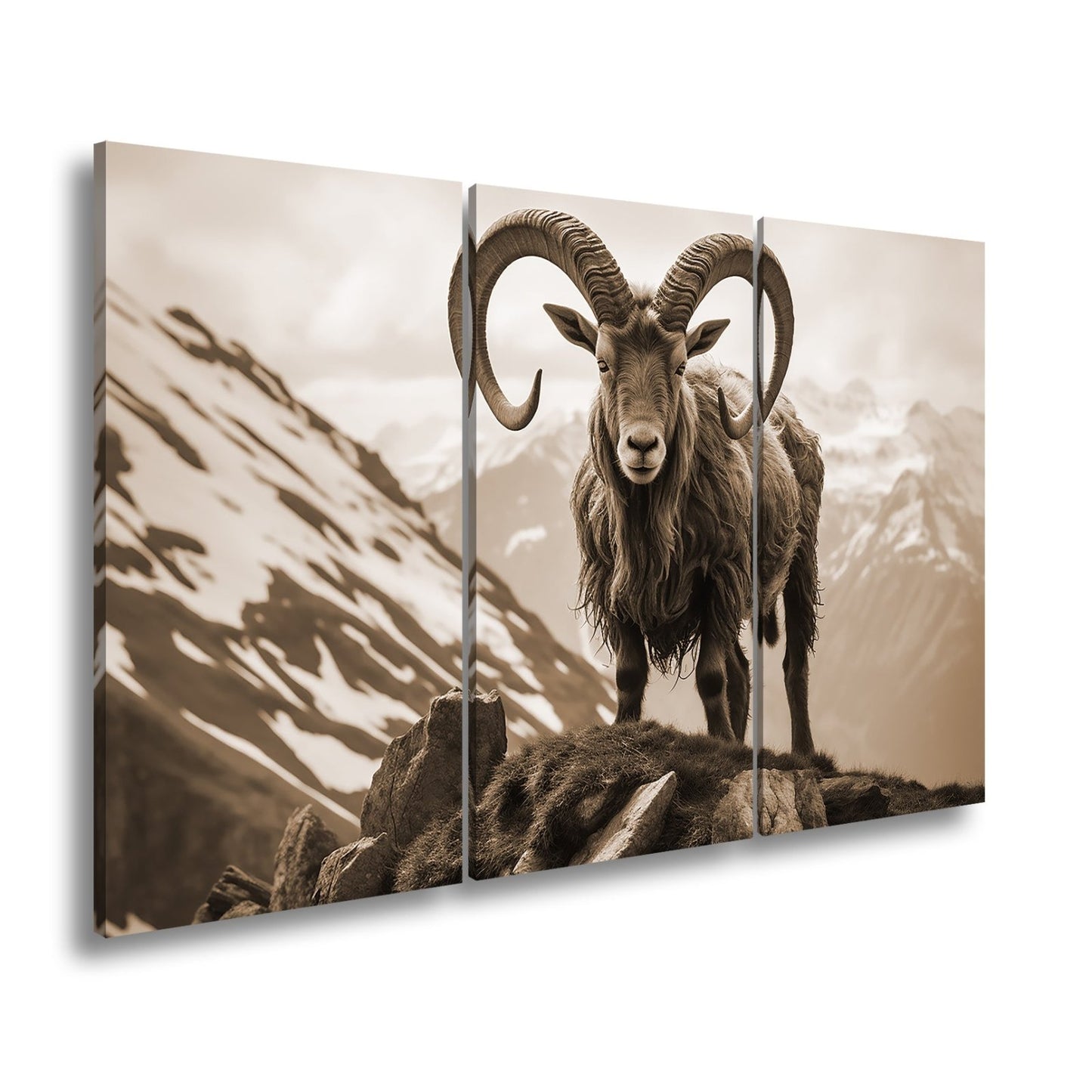 Leinwandbild Majestätischer Steinbock trotzt der kühlen Bergwelt. - deyoli
