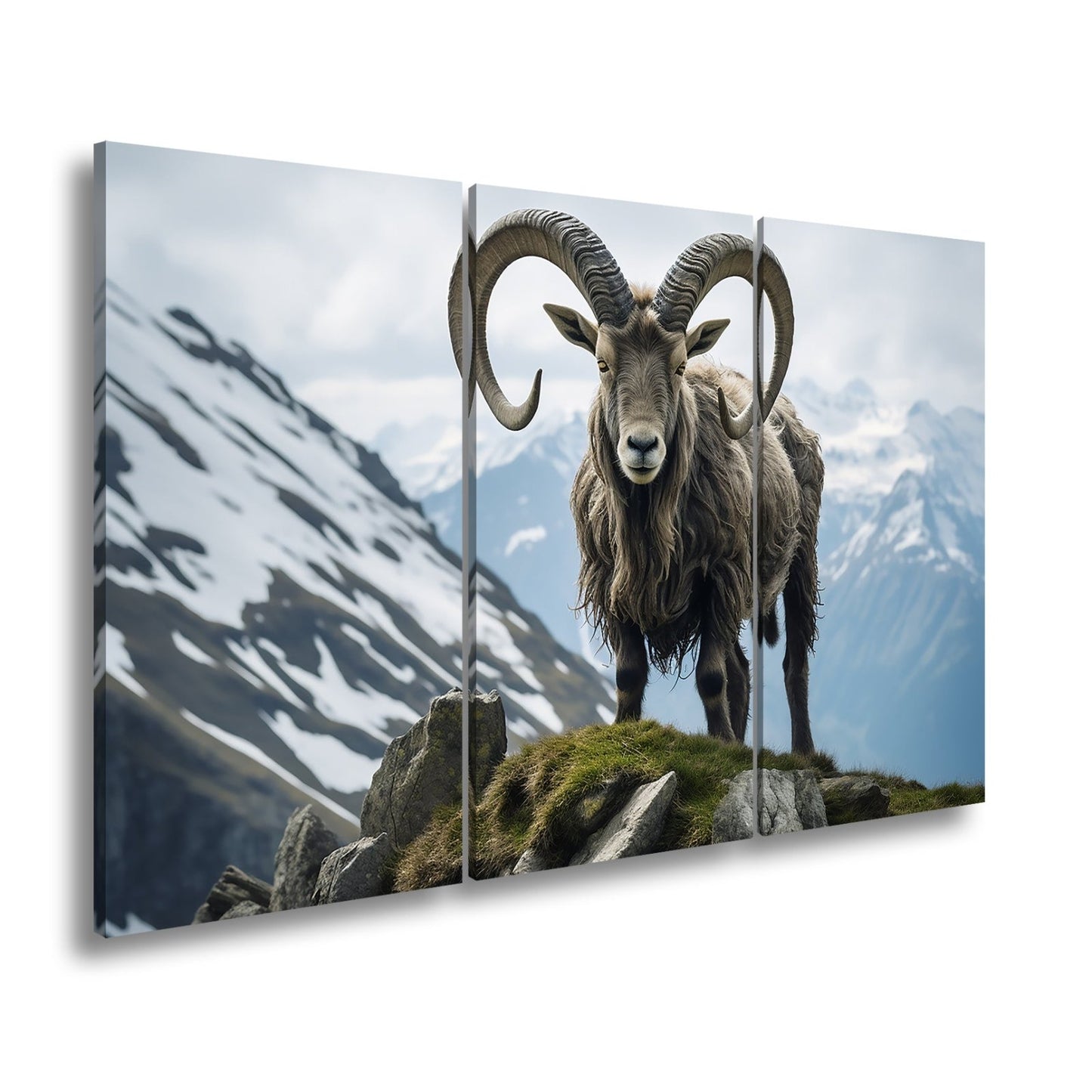 Leinwandbild Majestätischer Steinbock trotzt der kühlen Bergwelt. - deyoli