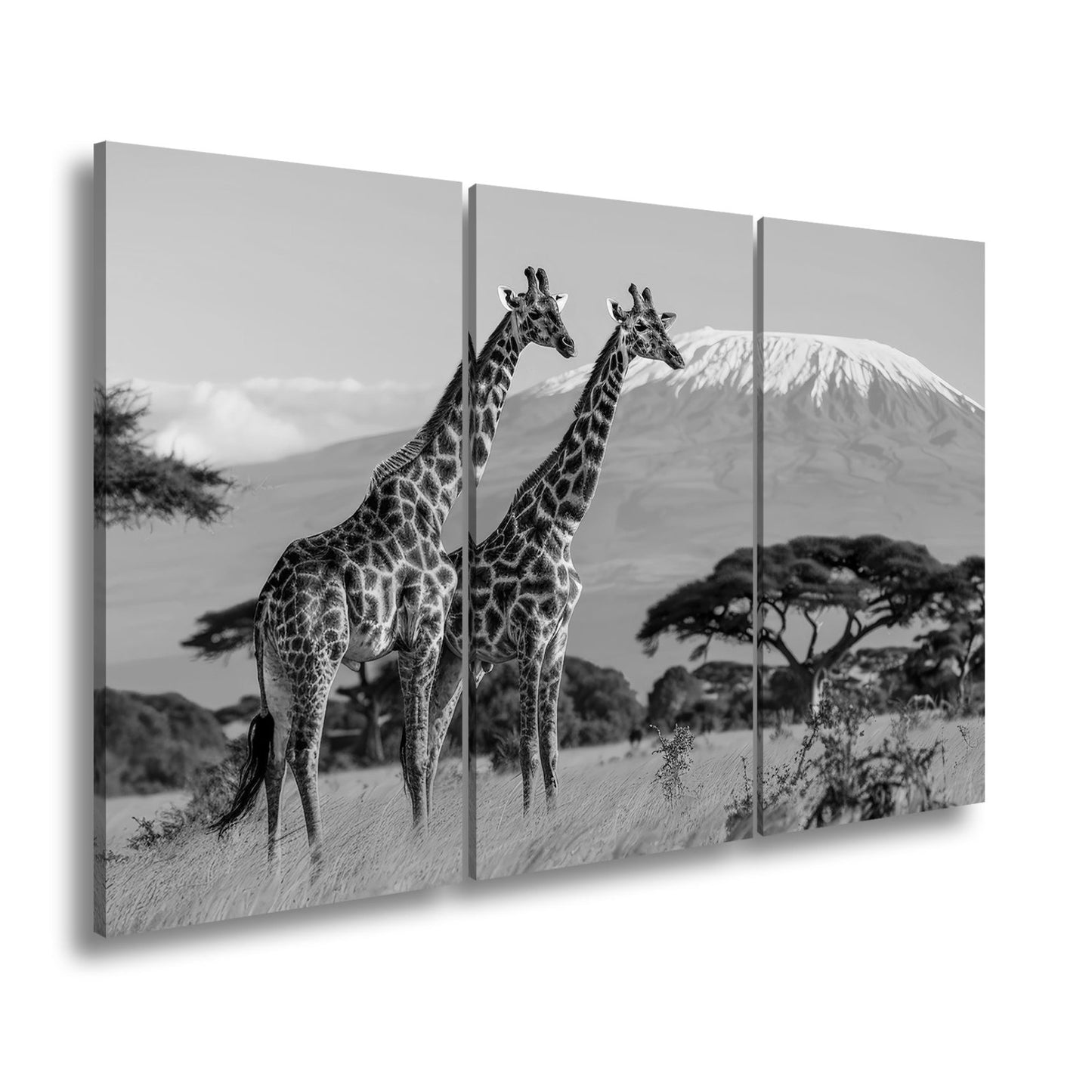 Leinwandbild Majestätische Giraffen vor dem Kilimandscharo - deyoli