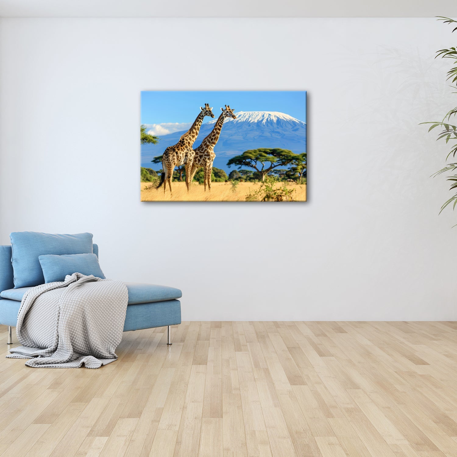Leinwandbild Majestätische Giraffen vor dem Kilimandscharo - deyoli