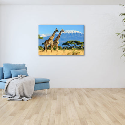 Leinwandbild Majestätische Giraffen vor dem Kilimandscharo - deyoli