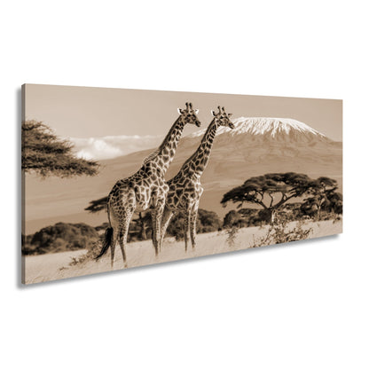Leinwandbild Majestätische Giraffen vor dem Kilimandscharo - deyoli