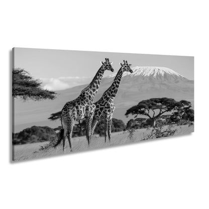 Leinwandbild Majestätische Giraffen vor dem Kilimandscharo - deyoli