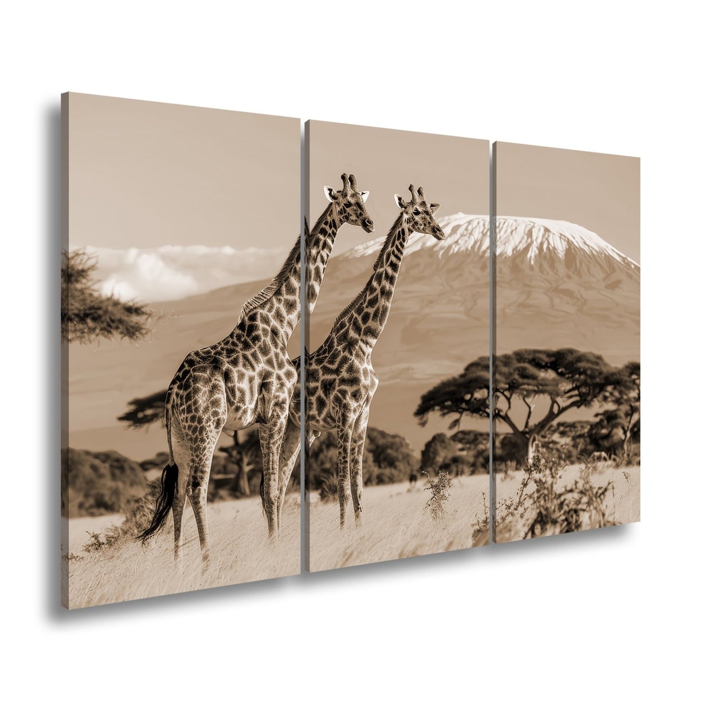 Leinwandbild Majestätische Giraffen vor dem Kilimandscharo - deyoli