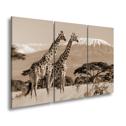 Leinwandbild Majestätische Giraffen vor dem Kilimandscharo - deyoli