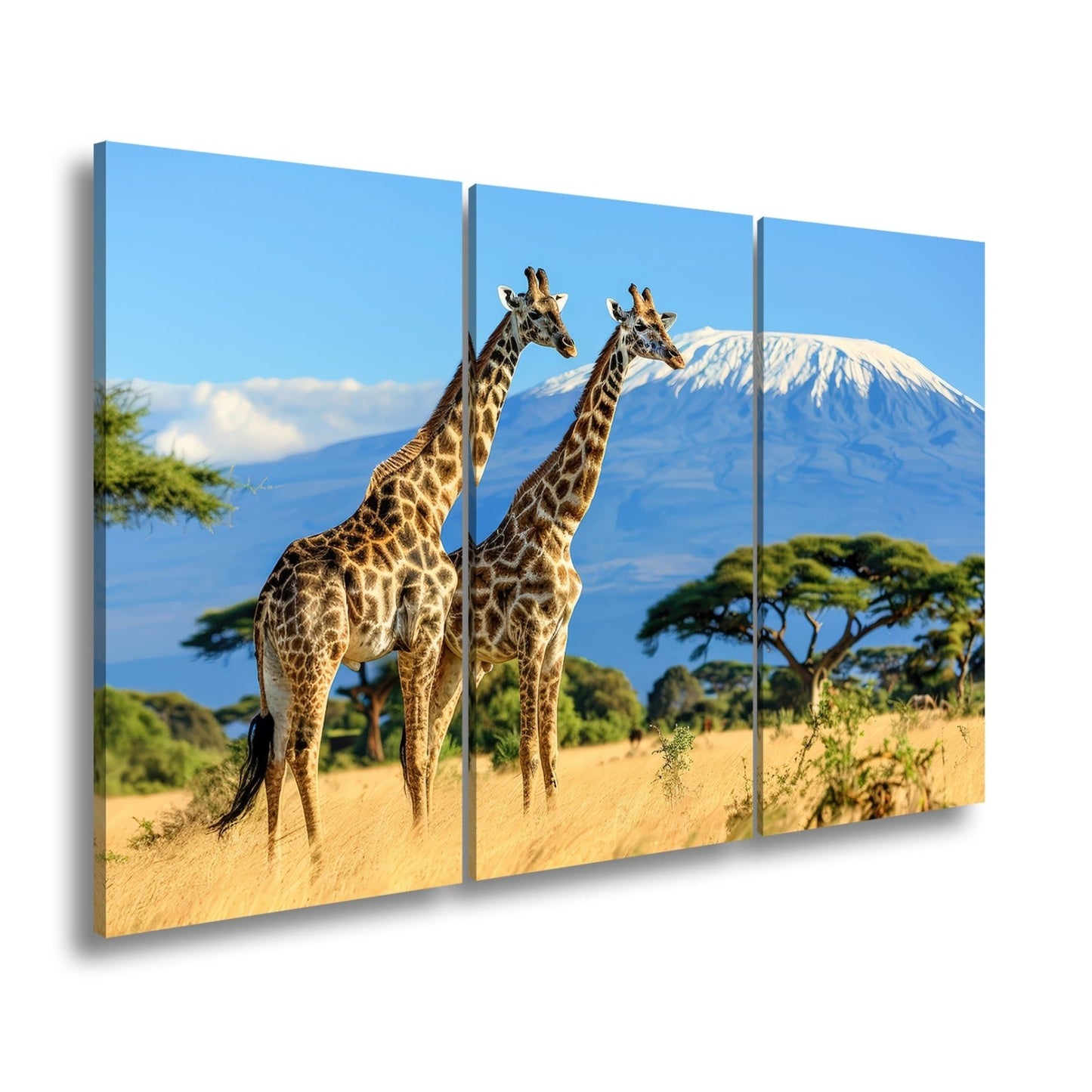 Leinwandbild Majestätische Giraffen vor dem Kilimandscharo - deyoli