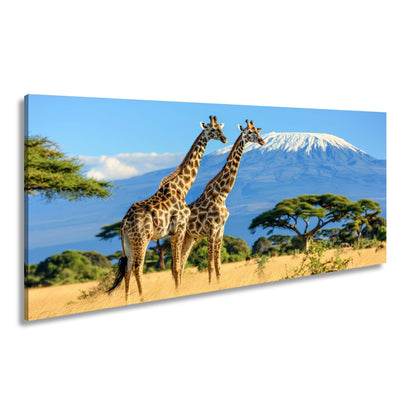 Leinwandbild Majestätische Giraffen vor dem Kilimandscharo - deyoli