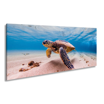 Leinwandbild Majestätische Schildkröte gleitet durch kristallklares Wasser. - deyoli