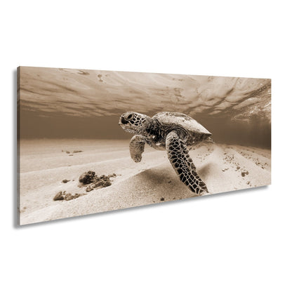 Leinwandbild Majestätische Schildkröte gleitet durch kristallklares Wasser. - deyoli