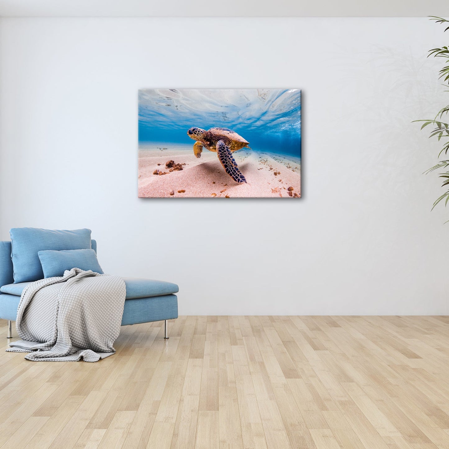 Leinwandbild Majestätische Schildkröte gleitet durch kristallklares Wasser. - deyoli